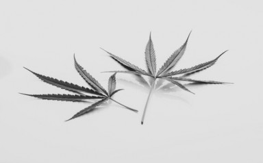 Детоксикация от наркотиков в Новоегорьевском